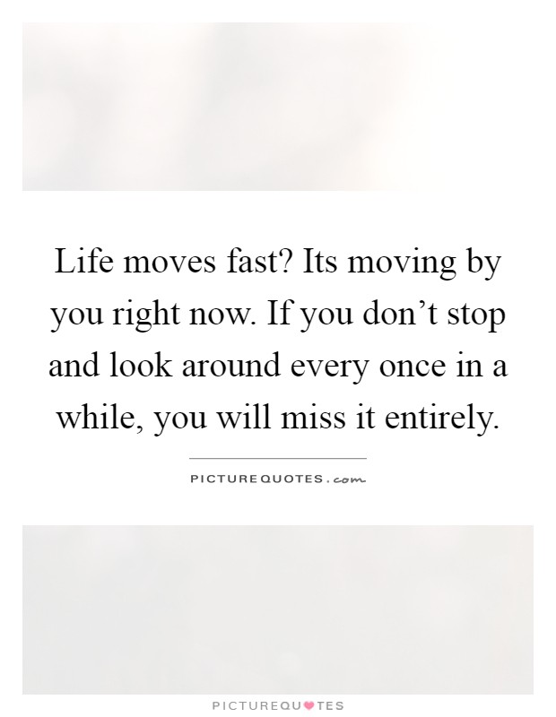 Life moves fast? Its moving by you right now. If you don't stop and look around every once in a while, you will miss it entirely Picture Quote #1