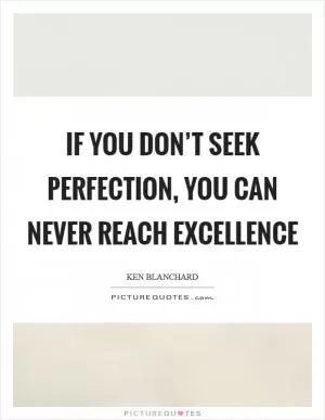 If you don’t seek perfection, you can never reach excellence Picture Quote #1