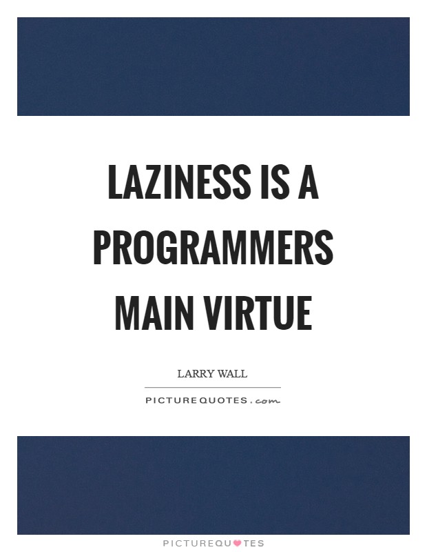 Laziness is a programmers main virtue Picture Quote #1
