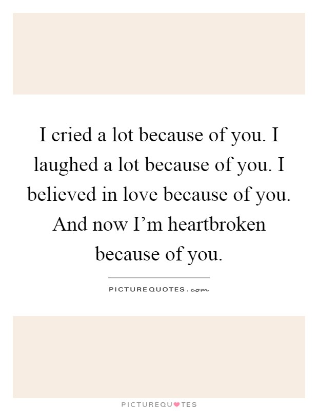 I cried a lot because of you. I laughed a lot because of you. I believed in love because of you. And now I'm heartbroken because of you Picture Quote #1