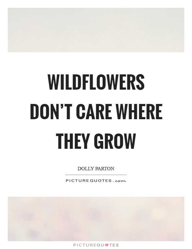 Wildflowers don’t care where they grow Picture Quote #1
