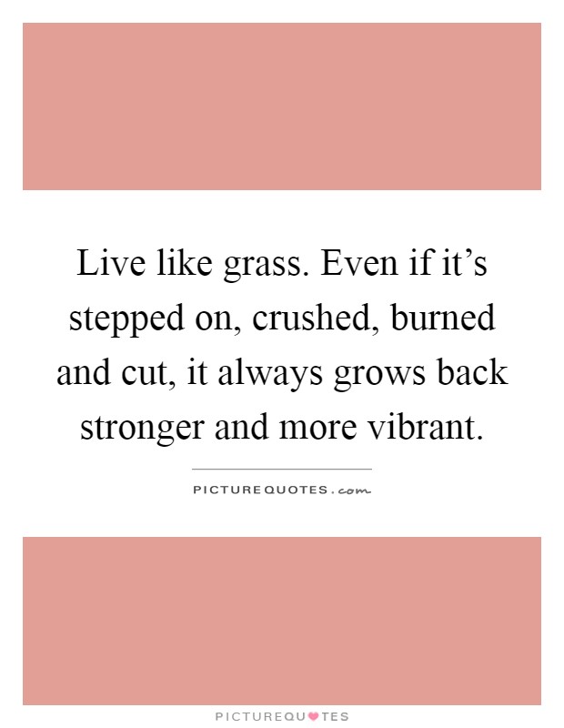 Live like grass. Even if it's stepped on, crushed, burned and cut, it always grows back stronger and more vibrant Picture Quote #1