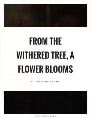 From the withered tree, a flower blooms Picture Quote #1