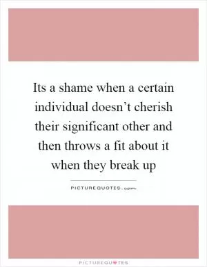 Its a shame when a certain individual doesn’t cherish their significant other and then throws a fit about it when they break up Picture Quote #1