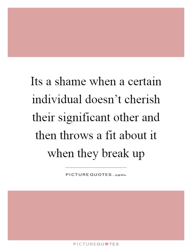 Its a shame when a certain individual doesn't cherish their significant other and then throws a fit about it when they break up Picture Quote #1
