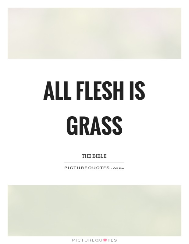 All flesh is grass Picture Quote #1