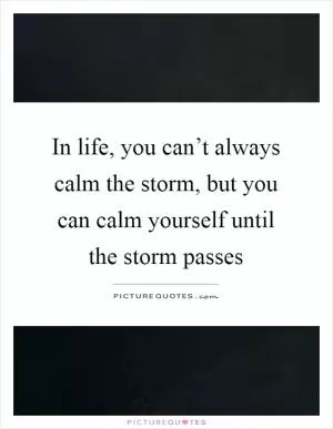 In life, you can’t always calm the storm, but you can calm yourself until the storm passes Picture Quote #1