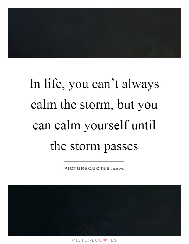 In life, you can't always calm the storm, but you can calm yourself until the storm passes Picture Quote #1