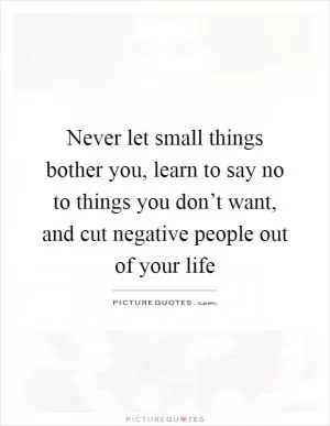 Never let small things bother you, learn to say no to things you don’t want, and cut negative people out of your life Picture Quote #1