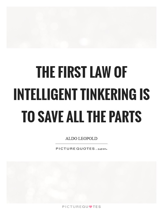 The first law of intelligent tinkering is to save all the parts Picture Quote #1