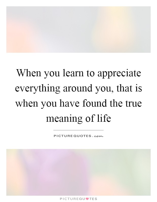 When you learn to appreciate everything around you, that is when you have found the true meaning of life Picture Quote #1