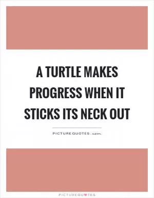 A turtle makes progress when it sticks its neck out Picture Quote #1