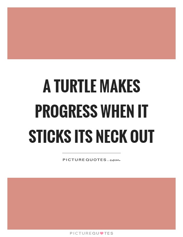 A turtle makes progress when it sticks its neck out Picture Quote #1
