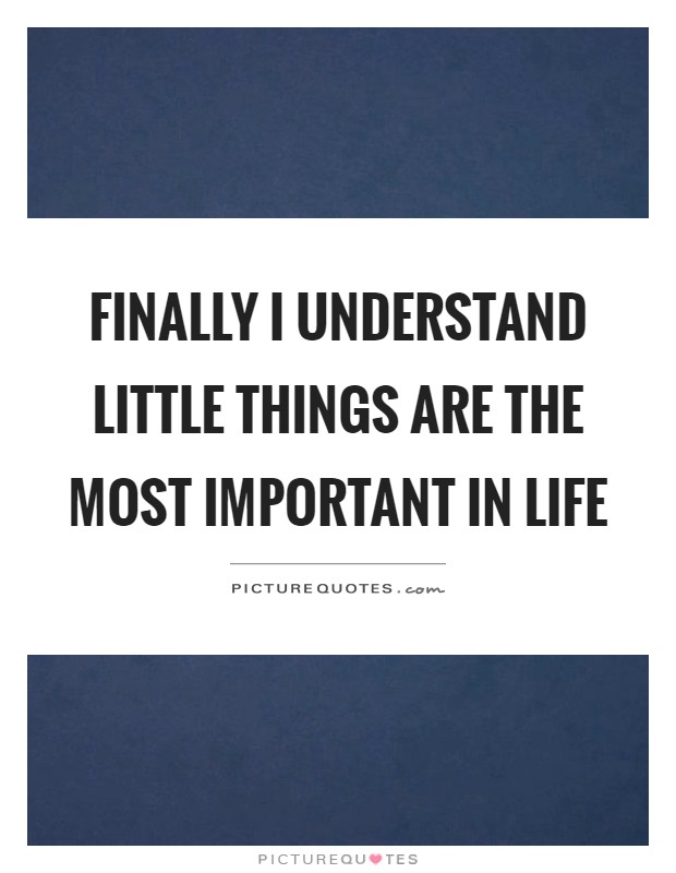 Finally I understand little things are the most important in life Picture Quote #1