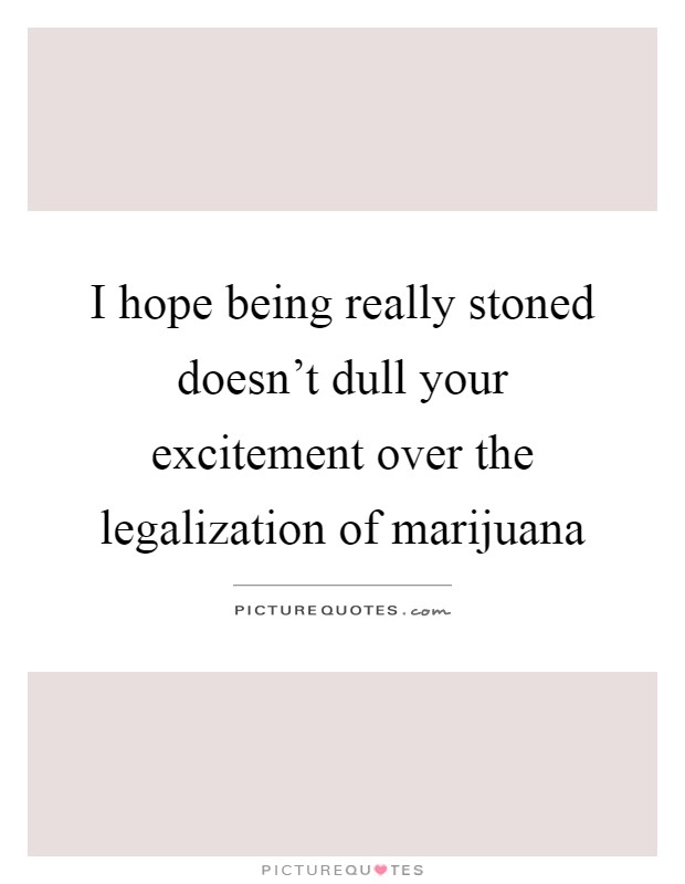 I hope being really stoned doesn't dull your excitement over the legalization of marijuana Picture Quote #1