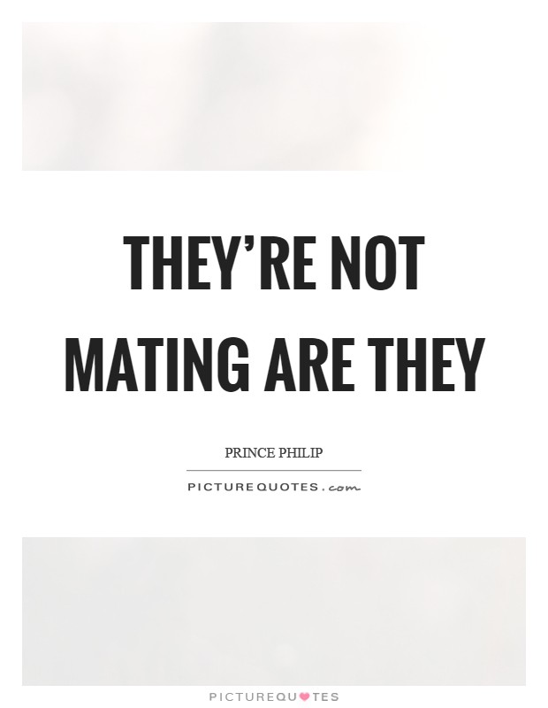 They're not mating are they Picture Quote #1