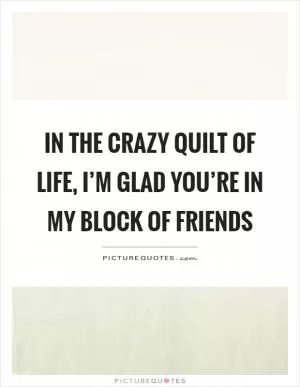 In the crazy quilt of life, I’m glad you’re in my block of friends Picture Quote #1