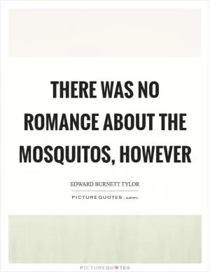 There was no romance about the mosquitos, however Picture Quote #1