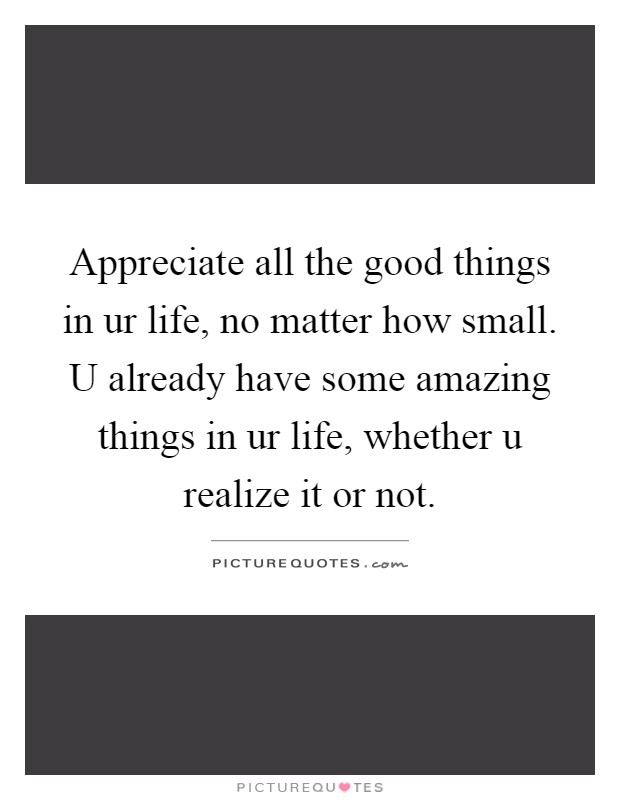 Appreciate all the good things in ur life, no matter how small. U already have some amazing things in ur life, whether u realize it or not Picture Quote #1
