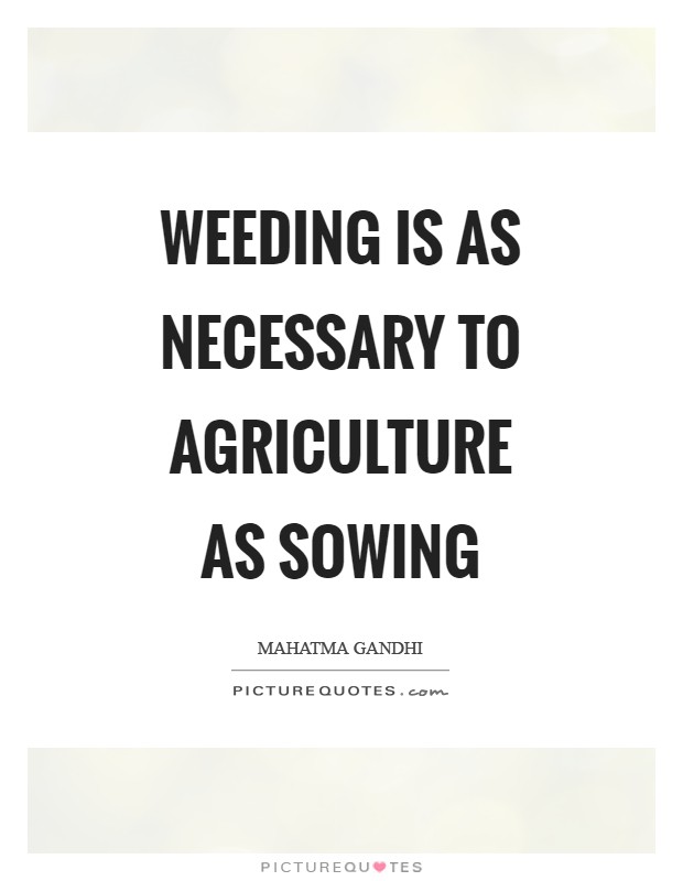 Weeding is as necessary to agriculture as sowing Picture Quote #1