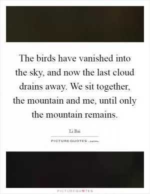 The birds have vanished into the sky, and now the last cloud drains away. We sit together, the mountain and me, until only the mountain remains Picture Quote #1
