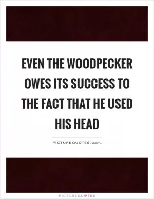 Even the woodpecker owes its success to the fact that he used his head Picture Quote #1