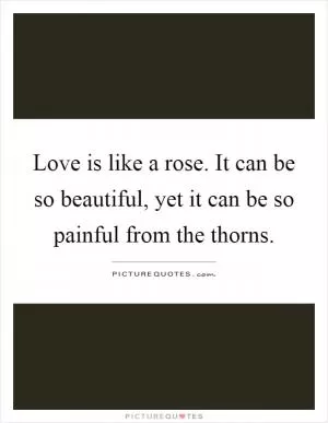 Love is like a rose. It can be so beautiful, yet it can be so painful from the thorns Picture Quote #1