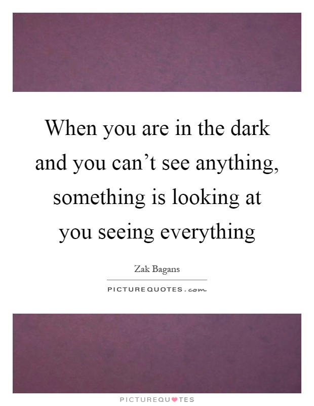 When you are in the dark and you can't see anything, something is looking at you seeing everything Picture Quote #1