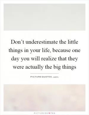 Don’t underestimate the little things in your life, because one day you will realize that they were actually the big things Picture Quote #1