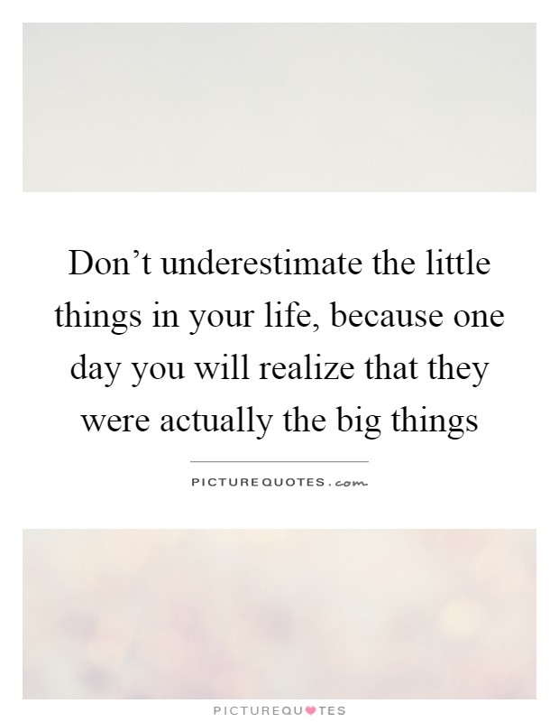 Don't underestimate the little things in your life, because one day you will realize that they were actually the big things Picture Quote #1