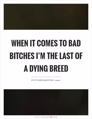 When it comes to bad bitches I’m the last of a dying breed Picture Quote #1