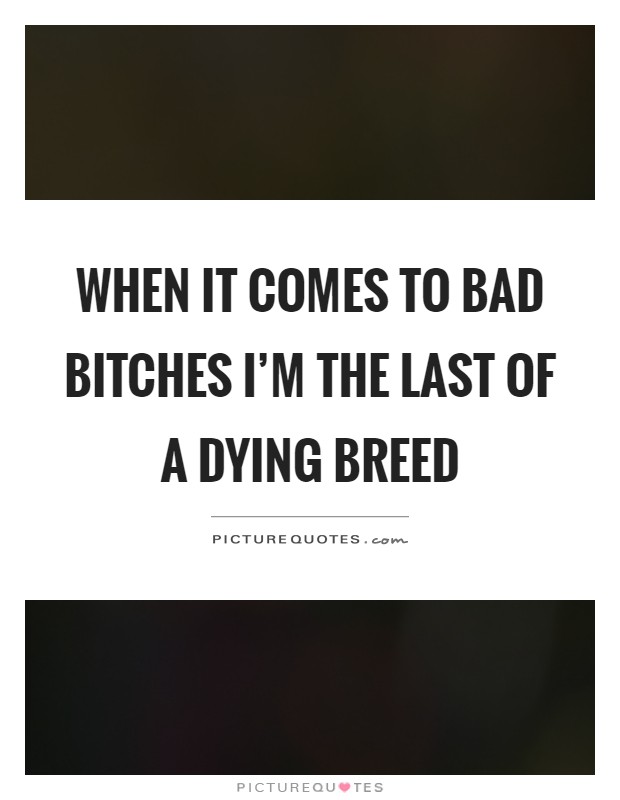 When it comes to bad bitches I'm the last of a dying breed Picture Quote #1
