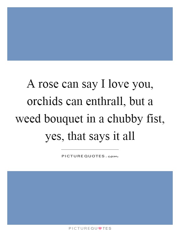 A rose can say I love you, orchids can enthrall, but a weed bouquet in a chubby fist, yes, that says it all Picture Quote #1