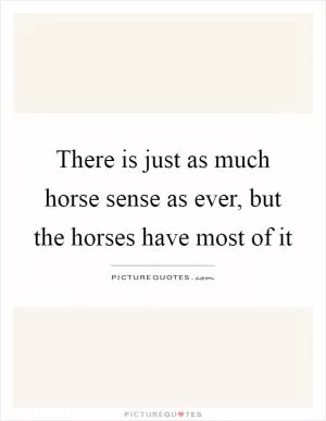 There is just as much horse sense as ever, but the horses have most of it Picture Quote #1