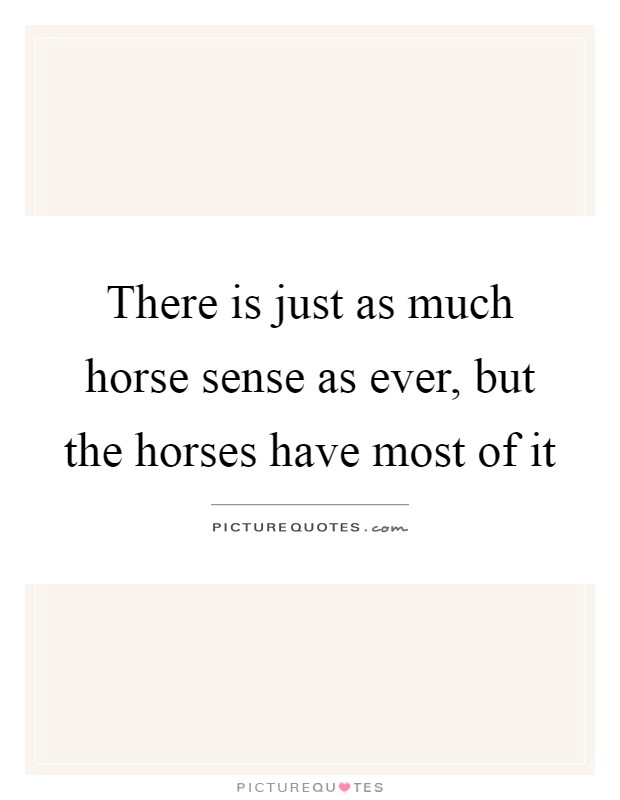 There is just as much horse sense as ever, but the horses have most of it Picture Quote #1