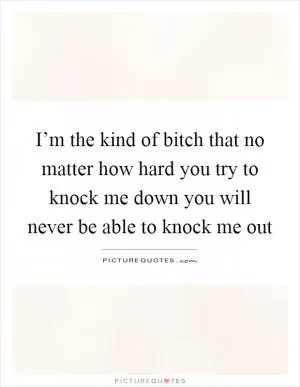 I’m the kind of bitch that no matter how hard you try to knock me down you will never be able to knock me out Picture Quote #1