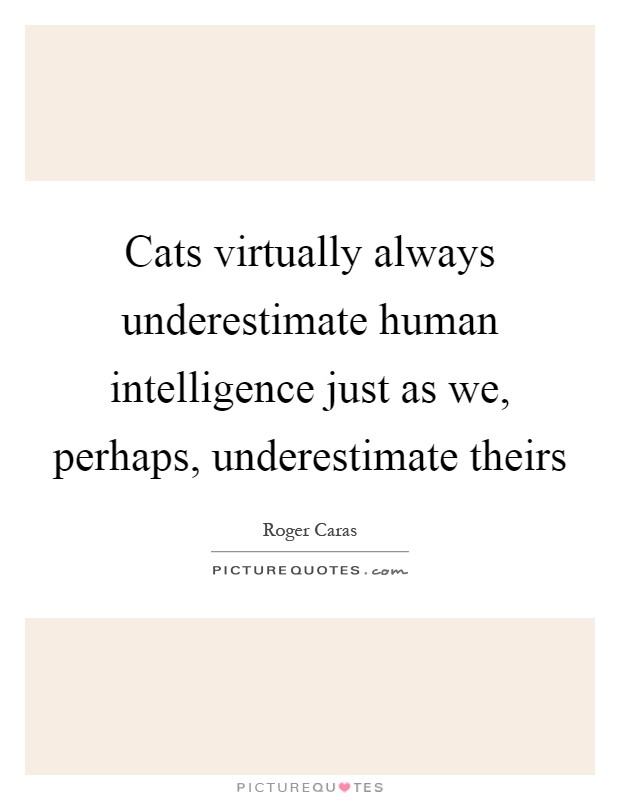 Cats virtually always underestimate human intelligence just as we, perhaps, underestimate theirs Picture Quote #1