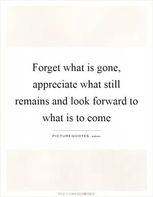 Forget what is gone, appreciate what still remains and look forward to what is to come Picture Quote #1