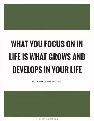 What you focus on in life is what grows and develops in your life Picture Quote #1