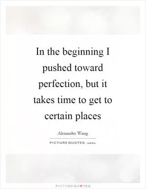 In the beginning I pushed toward perfection, but it takes time to get to certain places Picture Quote #1