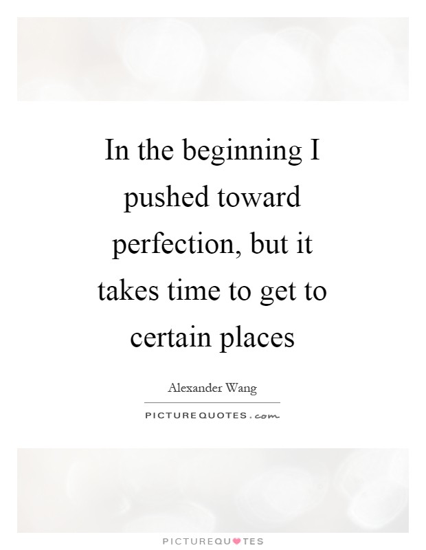 In the beginning I pushed toward perfection, but it takes time to get to certain places Picture Quote #1
