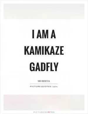 I am a kamikaze gadfly Picture Quote #1