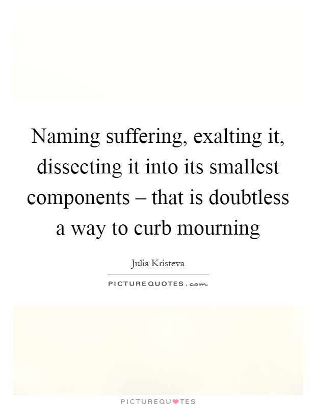 Naming suffering, exalting it, dissecting it into its smallest components – that is doubtless a way to curb mourning Picture Quote #1