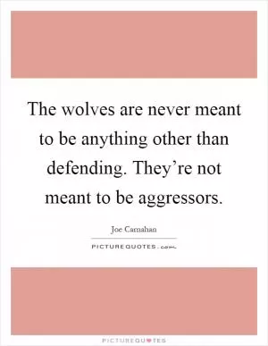 The wolves are never meant to be anything other than defending. They’re not meant to be aggressors Picture Quote #1