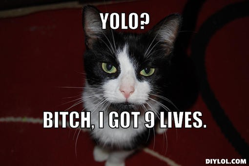 YOLO? Bitch, I got 9 lives Picture Quote #1
