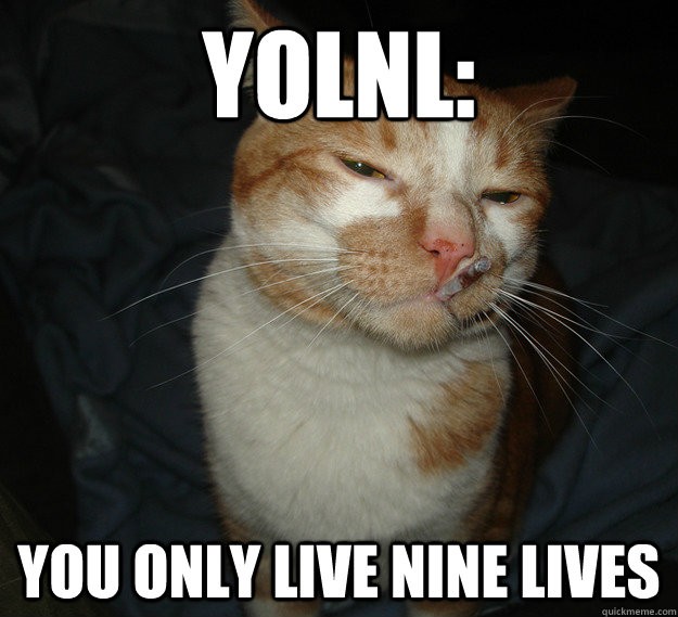 YOLNL: You only live nine lives Picture Quote #1