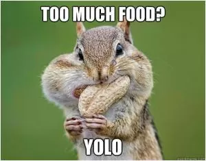 Too much food? YOLO Picture Quote #1