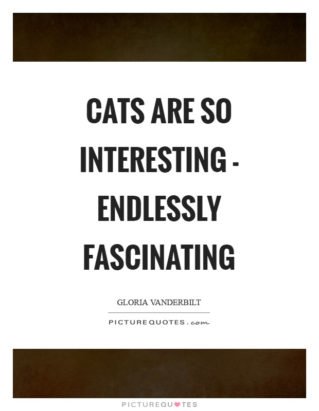 Cats are so interesting - endlessly fascinating Picture Quote #1