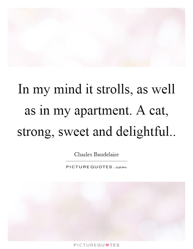 In my mind it strolls, as well as in my apartment. A cat, strong, sweet and delightful Picture Quote #1