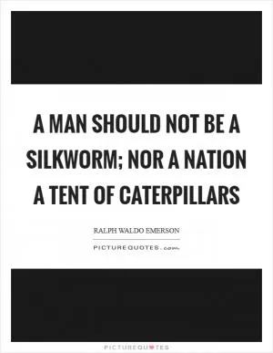 A man should not be a silkworm; nor a nation a tent of caterpillars Picture Quote #1